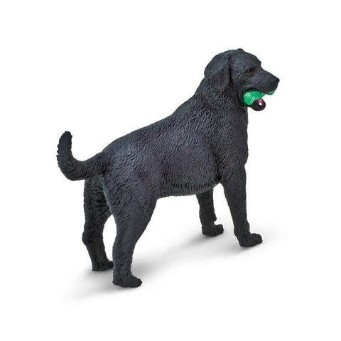 Side view of black labrador with green toy in his mouth