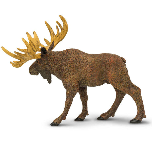 Complete with its massive antlers, thick coat, and humped back, this life-like moose toy figurine captures the spirit and majesty of this enormous animal.