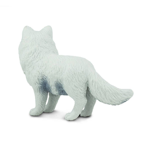 back of the white arctic fox