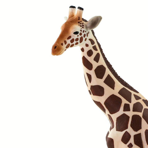 Adult Tan Giraffe