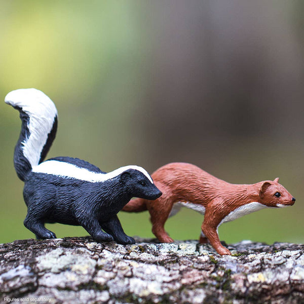 Black and white skunk with brown weasel (not included)