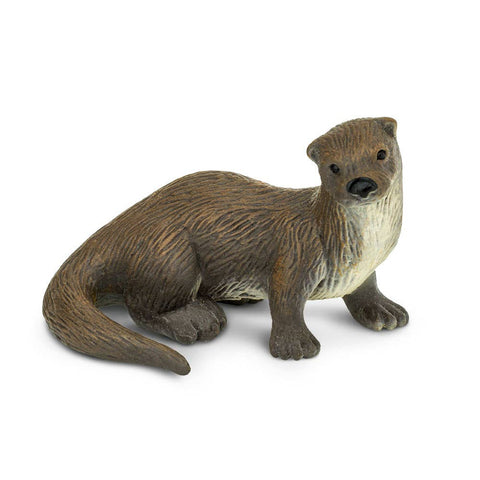 Brown River Otter lookin sweetly at you. Wondering if you are going to buy him.