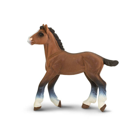 Clydesdale tan foal with white markings