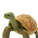 our giant tortoise toy model is hand painted and molded by experts in order to assure life-like realism and scientific accuracy.