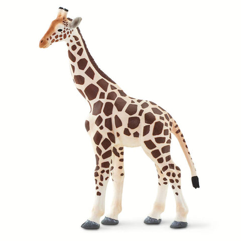 Adult Tan Giraffe