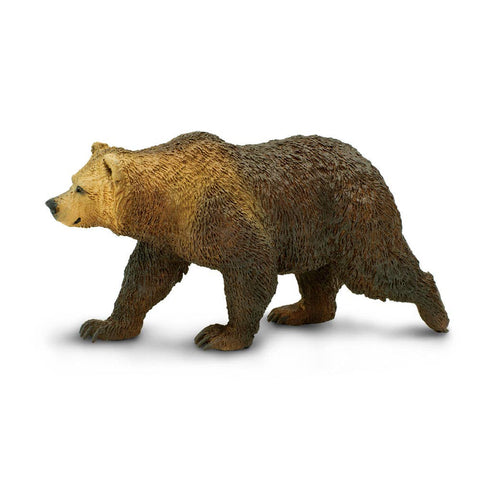 SIde view of the Grizzly Bear. LIght brown fading into darker brown