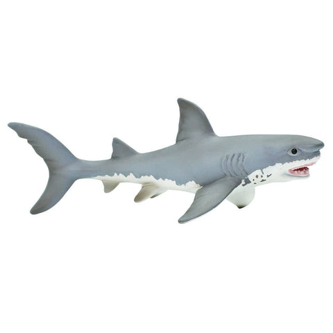 7 inches long and 3 inches wide, our great white shark figurine is a touch larger than a soda can on its side. Almost all sharks have white undersides alongside slate gray skin.