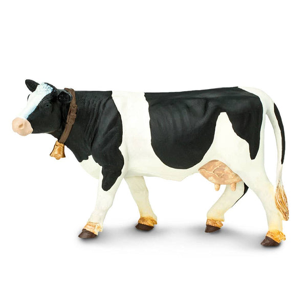 Black and white cow with bell around her neck