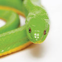 Close up of face of green snake with brown round eyes