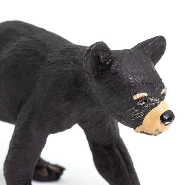CLose up of black bears cub's face