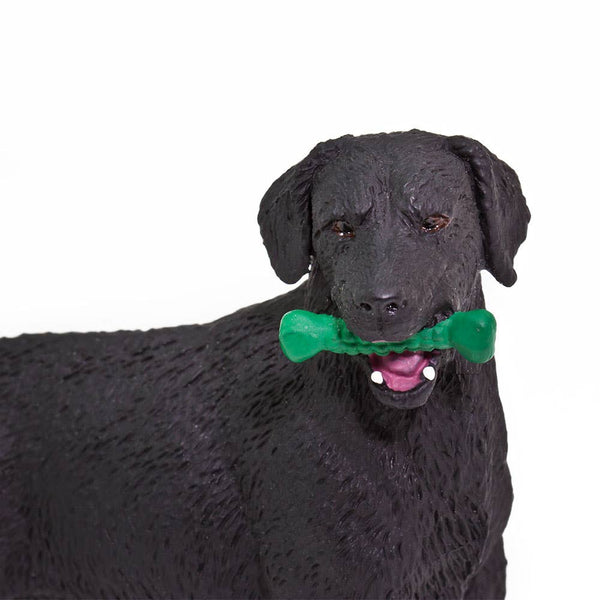 close up of lab with green toy in his mouth