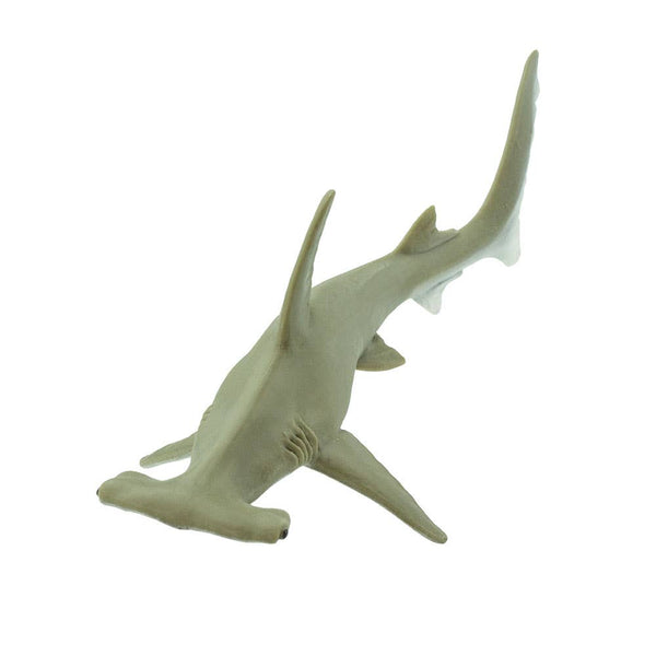 shade of grayish-brown hammerhead shark