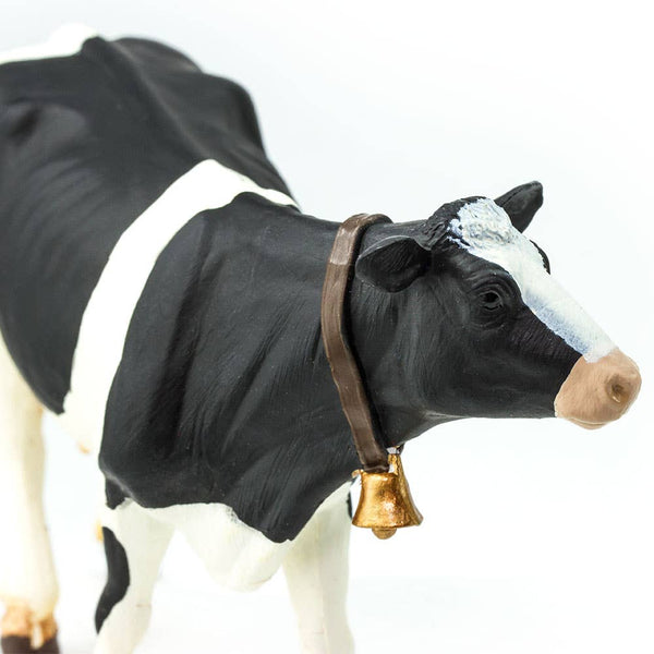 Black and white cow with bell around her neck