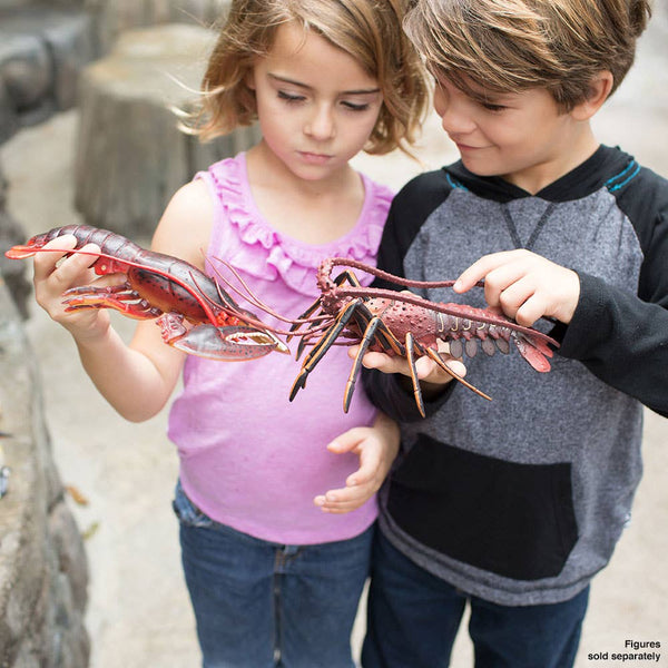 Kids playing with the toy lobsters