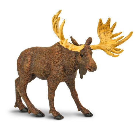 Complete with its massive antlers, thick coat, and humped back, this life-like moose toy figurine captures the spirit and majesty of this enormous animal.