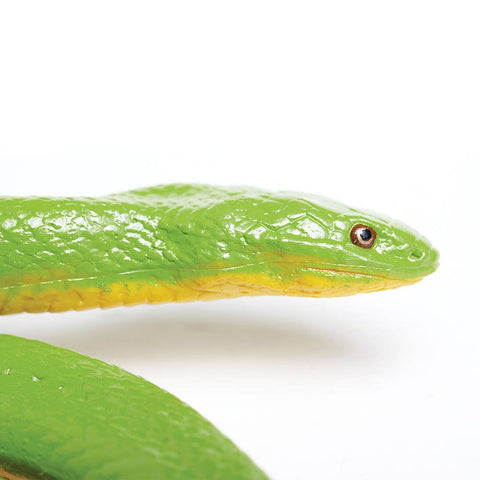 Bright green snake with yellow belly coiled up loosely. 