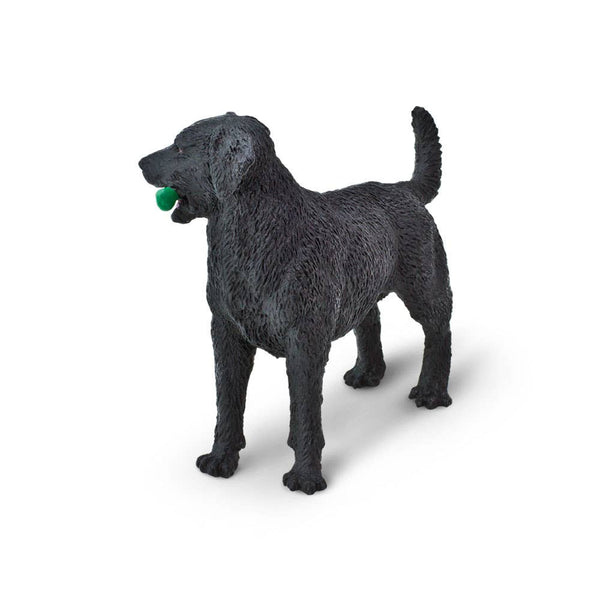 side view of black lab with green toy in his mouth