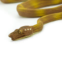 Yellow and tan Amazon Tree Boa. 