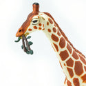 Cream and tan Giraffe with a small branch in his mouth