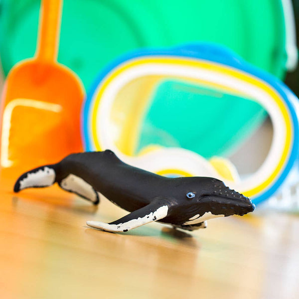 Humpback whale, black with white markings on fins and belly