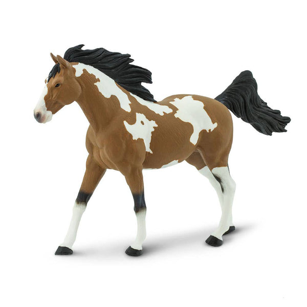 With its head held high and its mane and tail flowing in the wind, this pinto mustang stallion with the white splotches that distinguish it as a pinto, this mustang features a light brown coat and darker mane.