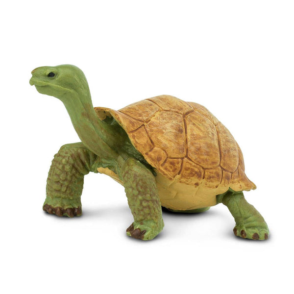 our giant tortoise toy model is hand painted and molded by experts in order to assure life-like realism and scientific accuracy.