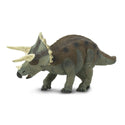 It is mostly dark gray with some earth tone patches to make it difficult for predators to see in the distance. The light gray horns and frill edges would have caught the attention of other Triceratops.