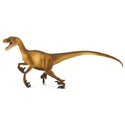 LIght brown Velociraptor