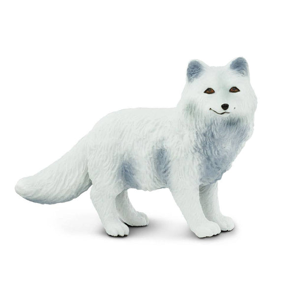 White Arctic Fox