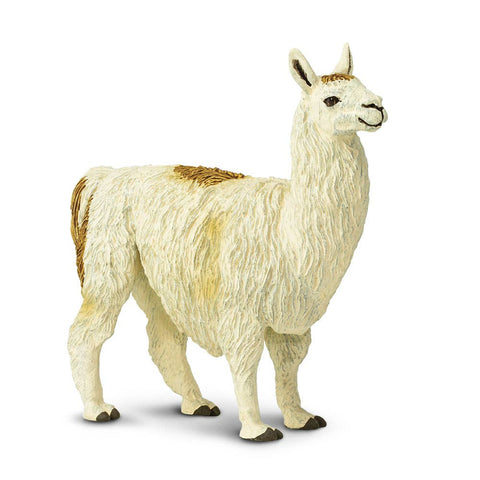 Long hair llama with a cream coat and large brown spots
