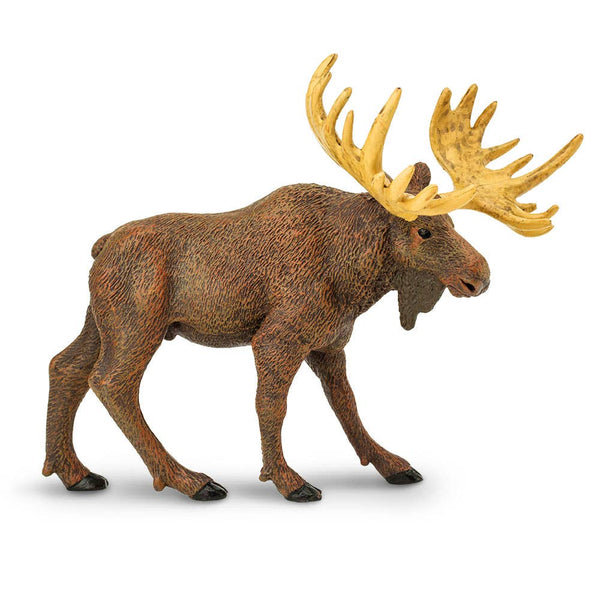 Complete with its massive antlers, thick coat, and humped back, this life-like moose toy figurine captures the spirit and majesty of this enormous animal.