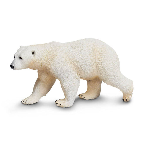 White Polar Bear