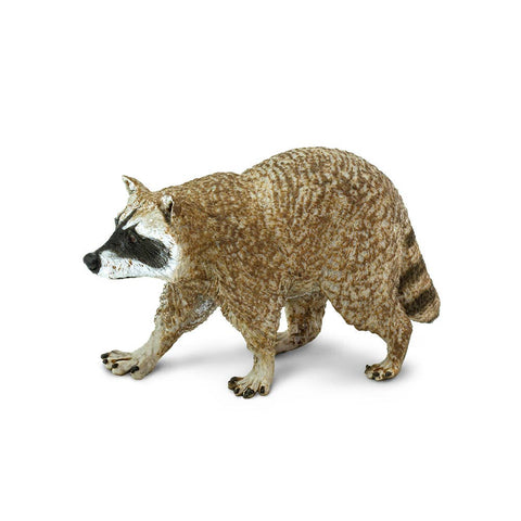 Raccoon with brown fur and black bandit mask with a ringed tail