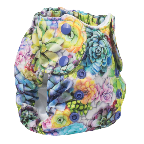 Smart Bottoms | Born Smart 2.0 ~ Succa For You Diapers Smart Bottoms   