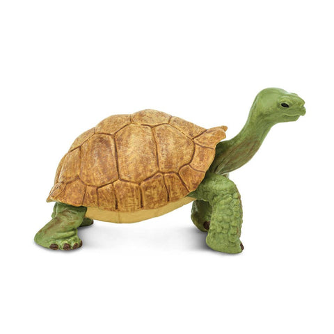 our giant tortoise toy model is hand painted and molded by experts in order to assure life-like realism and scientific accuracy.