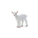 Baby white goat