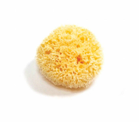 Natural Sea Sponge - Plastic Free Organic Sea Sponge: Grass Sponge