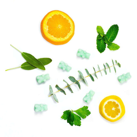 Happy Wax - Eucalyptus Spearmint Wax Melts - 2 oz Pouch Home Happy Wax   