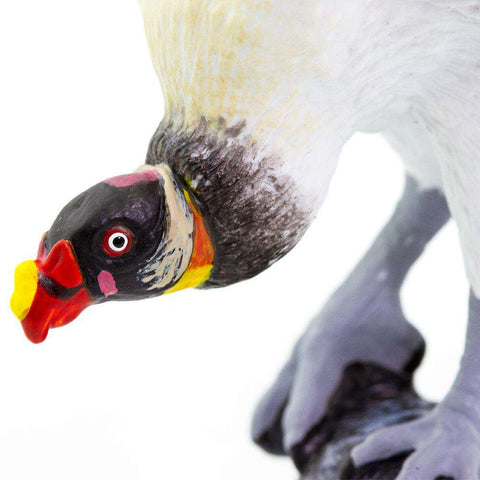 Safari LTD | Wings of the World Birds ~ KING VULTURE Toys Safari LTD   