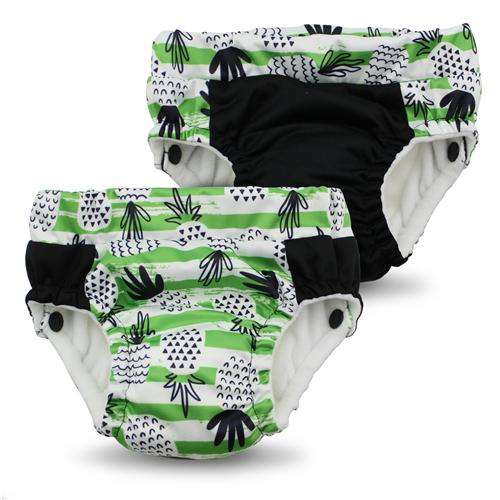 Lil Learnerz Training Pants & Swim Diaper 2 pk ClothDiapers Rumparooz - Kanga Care X-Small Spike 
