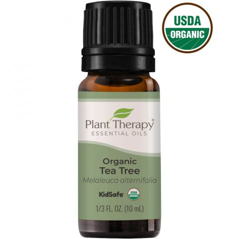 Plant Therapy | Organic Essential Oil -  Tea Tree 10 ml EssentialOils Plant Therapy   