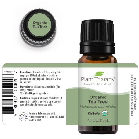 Plant Therapy | Organic Essential Oil -  Tea Tree 10 ml EssentialOils Plant Therapy   
