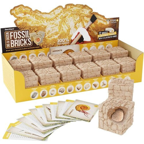 Dan & Darci | Dig a Dozen Fossil Bricks Toys Dan & Darci   