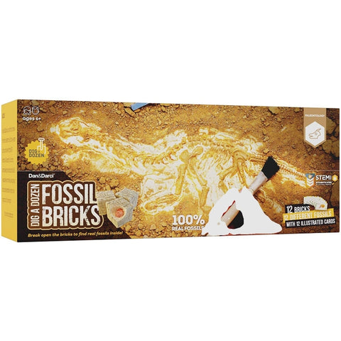 Dan & Darci | Dig a Dozen Fossil Bricks Toys Dan & Darci   