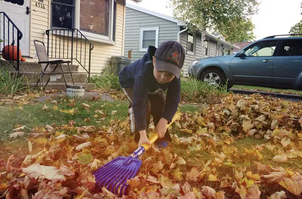 Haba - Spielstabil Toys ~ Leaf Rake Toys Haba   