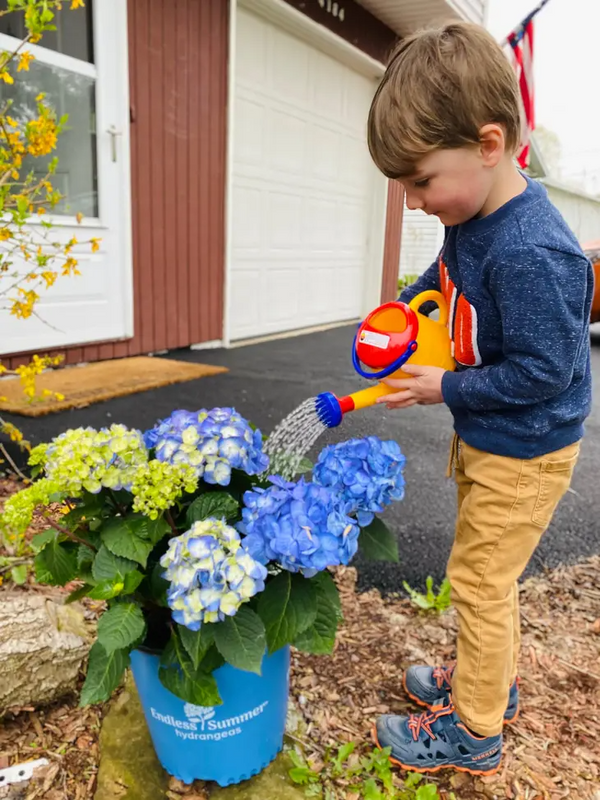 Haba - Spielstabil Toys Watering Can Toys Haba   