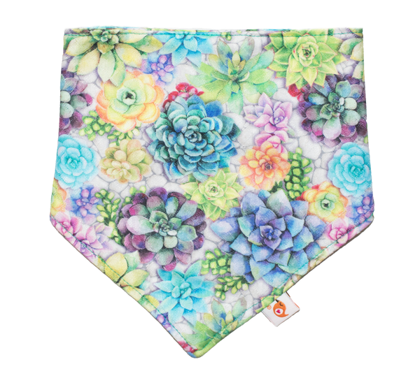 Smart Bottoms | Bandana Bib ~ Succa For You Bibs Smart Bottoms   