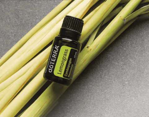 DōTERRA Essentail Oil Lemongrass EssentialOils DoTERRA   