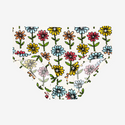 1 brief underwear  floral on a cream background. The Flowers are single daisies on stems and vary in color. Light Blue, Yellow, light orange, and pink.