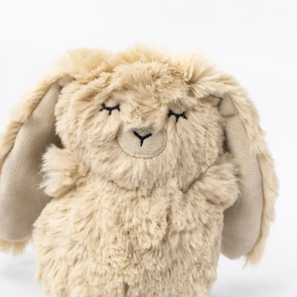 Slumberkins | Tan Bunny Mini + Bigfoot Intro Book- Self Esteem Toys Slumberkins   